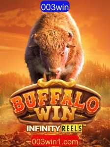 BuffaloWin: Um Mergulho no Mundo das Regras e Estratégias